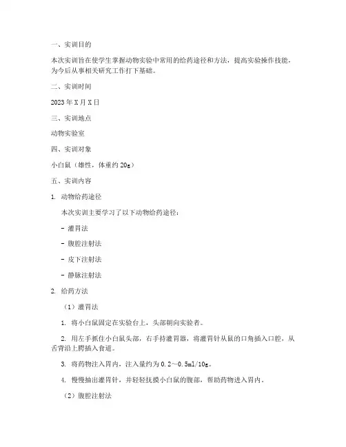 动物常用给药实训报告