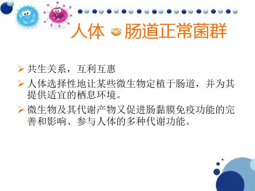人体肠道菌群课件