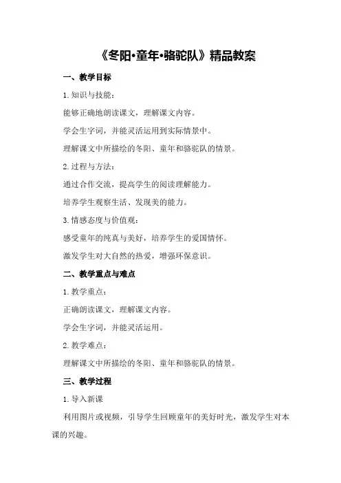 《冬阳·童年·骆驼队》精品教案