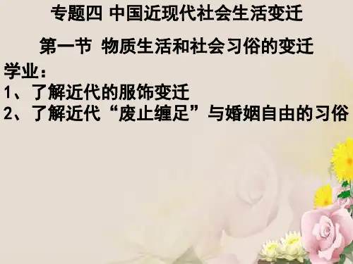 物质生活和社会习俗的变迁ppt11 人民版