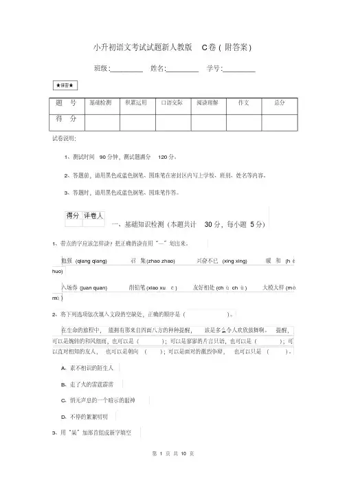 小升初语文考试试题新人教版C卷(附答案)