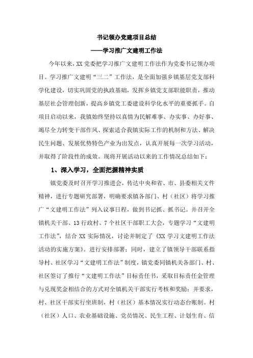 书记领办项目总结1