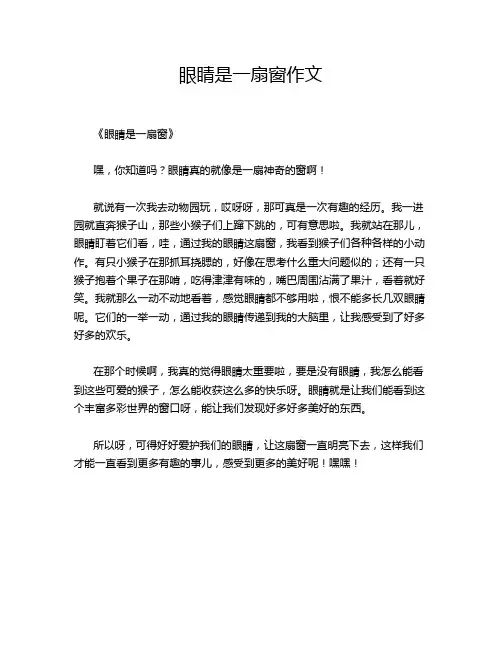眼睛是一扇窗作文