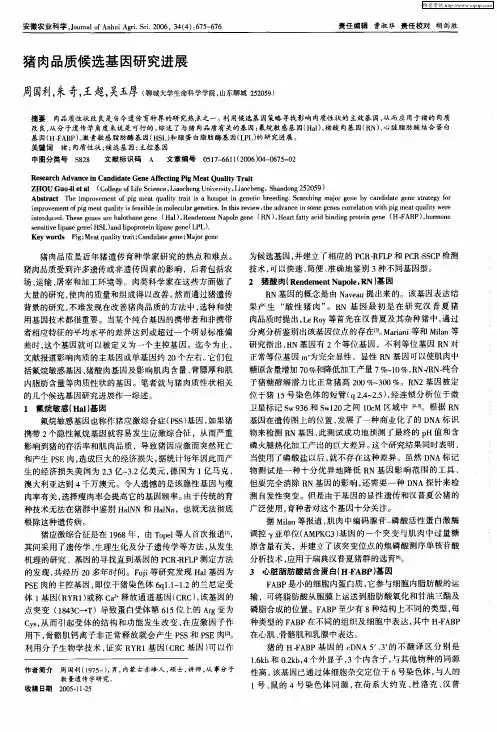 猪肉品质候选基因研究进展