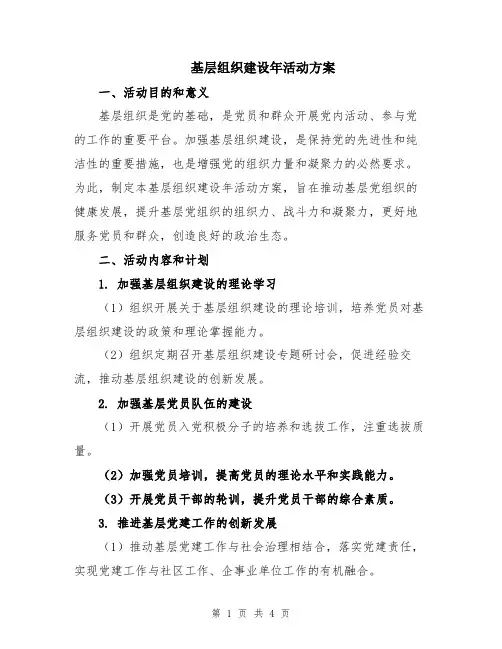 基层组织建设年活动方案