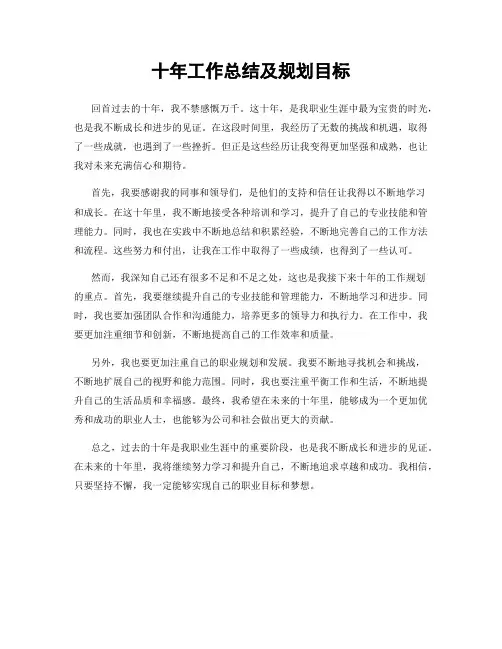 十年工作总结及规划目标