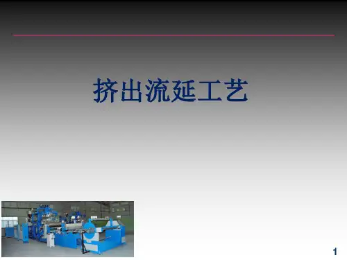 挤出流延工艺PPT精选文档