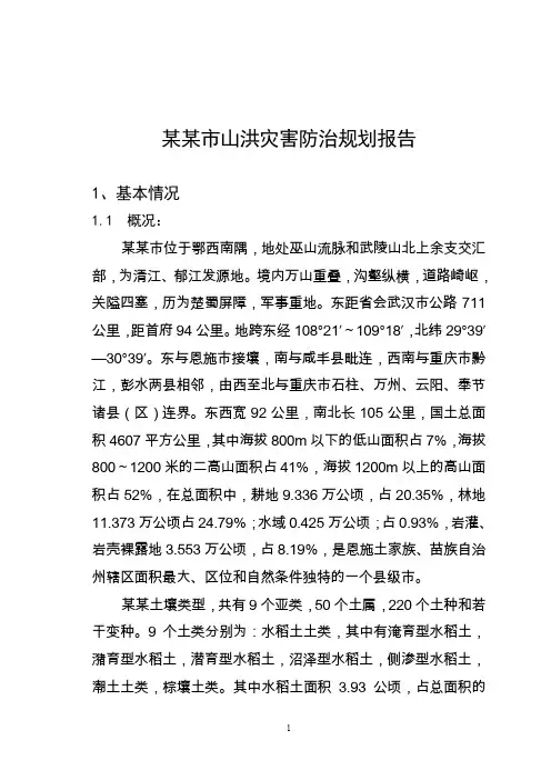 某某市山洪灾害防治规划报告