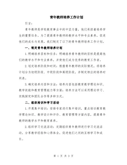 青年教师培养工作计划