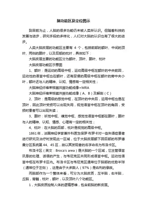 脑功能区及定位图示