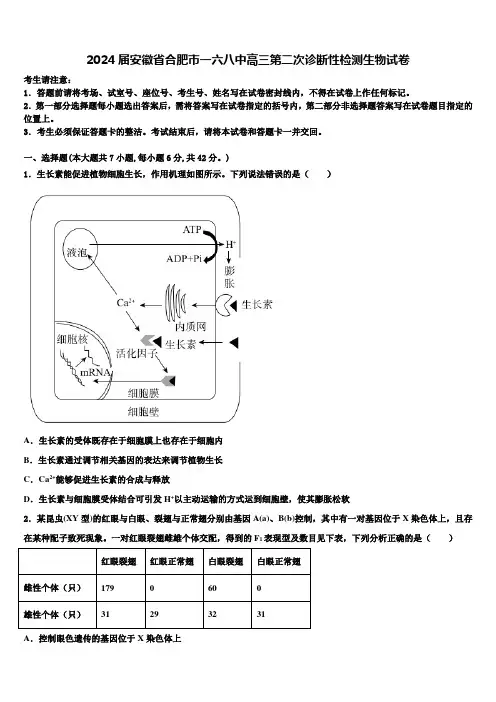 2024届安徽省合肥市一六八中高三第二次诊断性检测生物试卷含解析