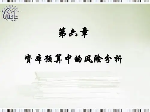 第六章 资本预算中的风险分析