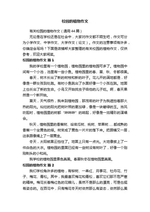 校园的植物作文