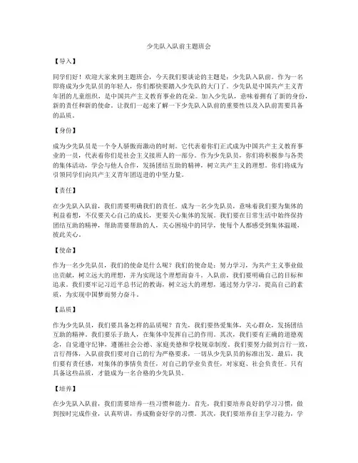 少先队入队前主题班会