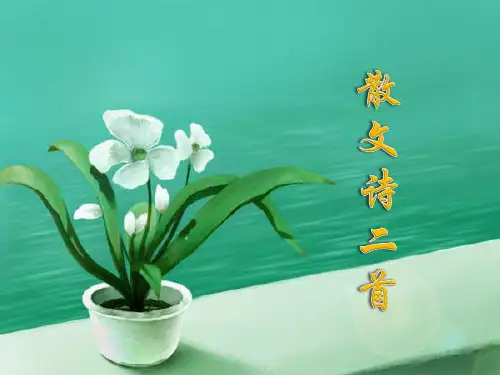 散文诗两首    部编版语文七年级上册优秀课件