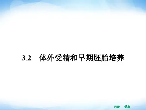 高中生物课件3.2 体外受精和早期胚胎培养