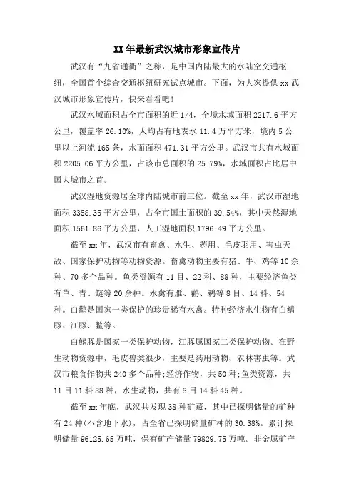武汉城市形象宣传片