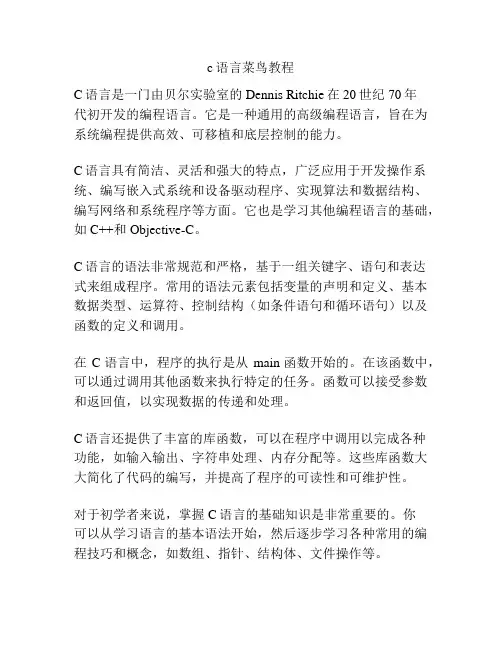 c语言菜鸟教程