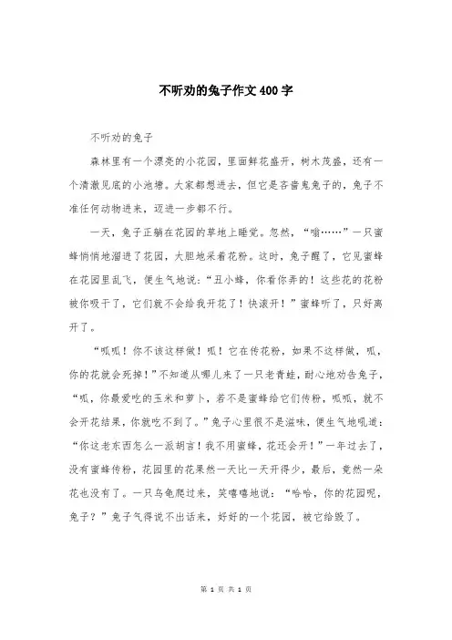 不听劝的兔子作文400字
