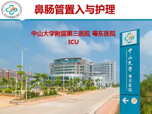 鼻肠管置入与护理