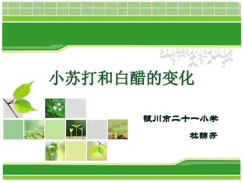 小苏打与白醋的变化说课