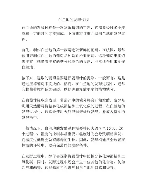 白兰地的发酵过程