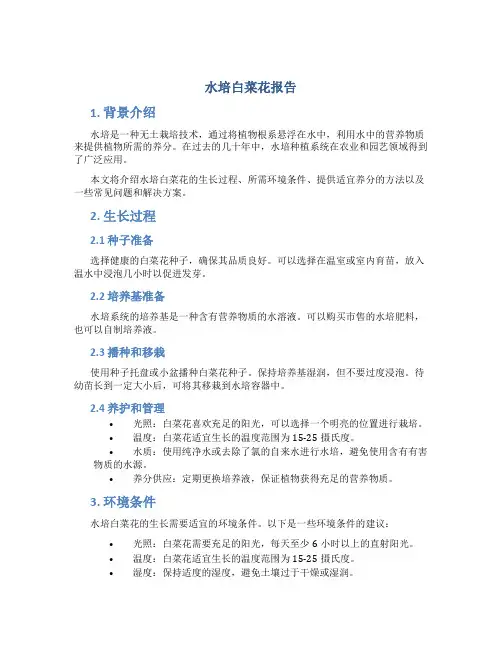 水培白菜花报告