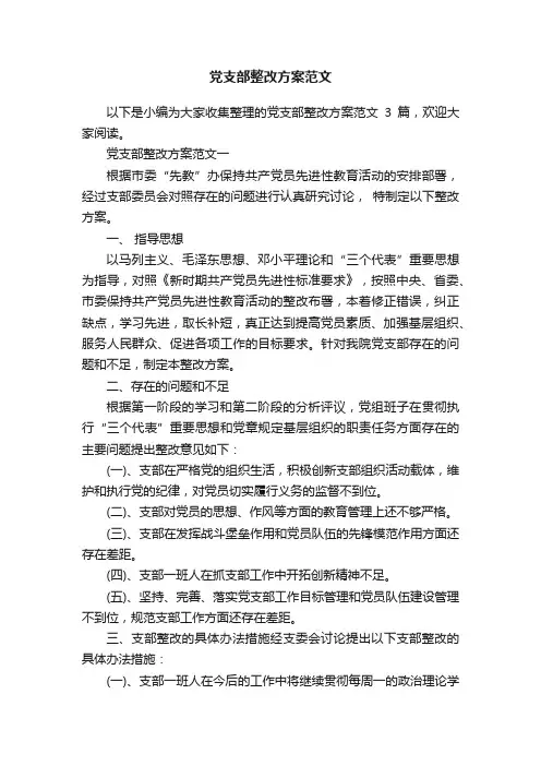 党支部整改方案范文