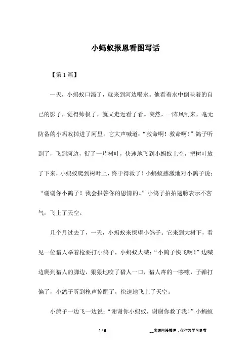 小蚂蚁报恩看图写话