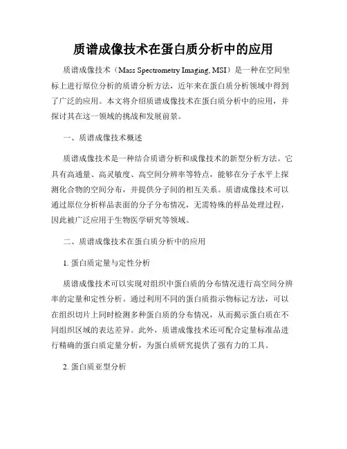 质谱成像技术在蛋白质分析中的应用