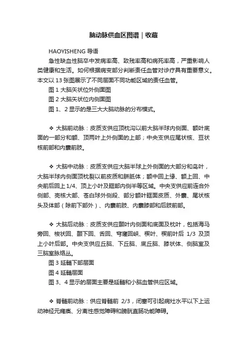 脑动脉供血区图谱｜收藏