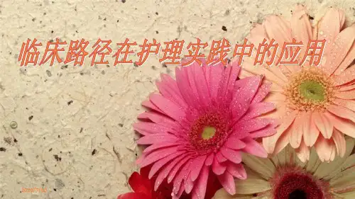 临床路径在护理实践中的应用ppt课件