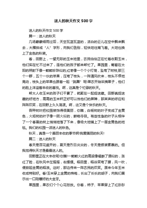 迷人的秋天作文500字
