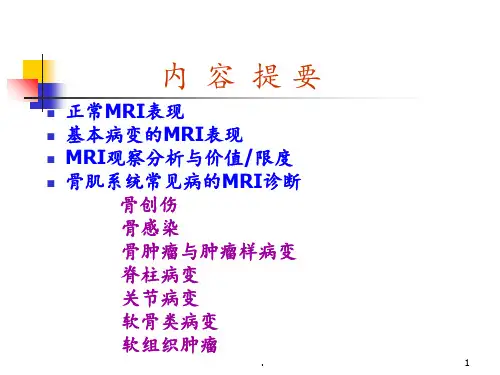 骨肌MRI(影像系)PPT课件