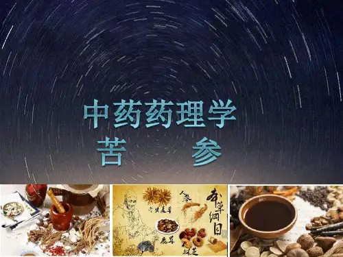 中药药理学苦    参  