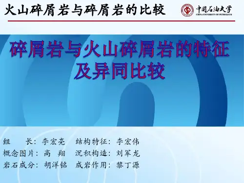 碎屑岩与火山碎屑的特征与异同(正式稿)
