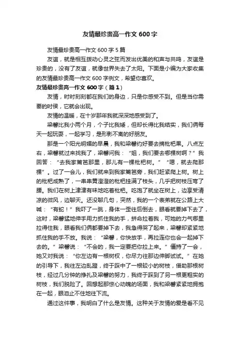 友情最珍贵高一作文600字