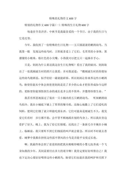 特殊的礼物作文600字