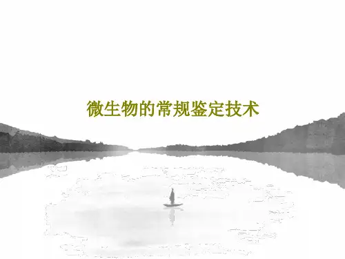 微生物的常规鉴定技术共23页文档