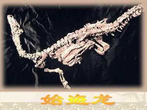 七年级语文《化石吟》优秀课件.ppt