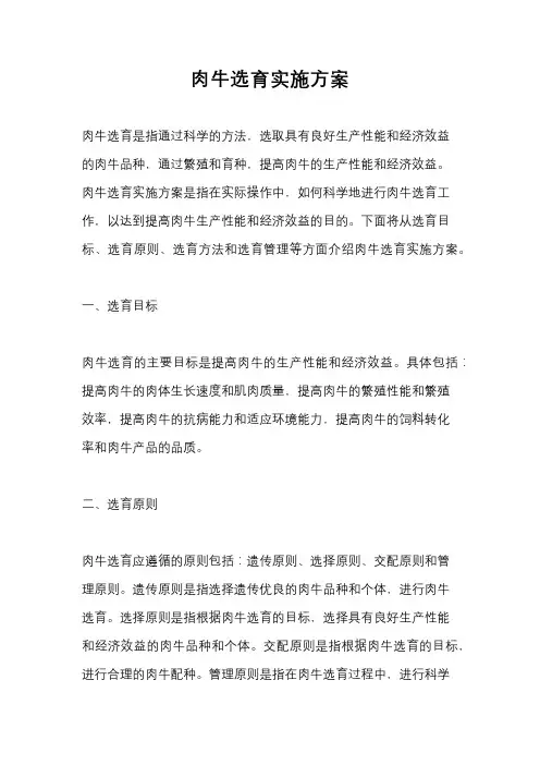 肉牛选育实施方案
