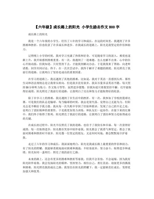 【六年级】成长路上的阳光 小学生励志作文800字