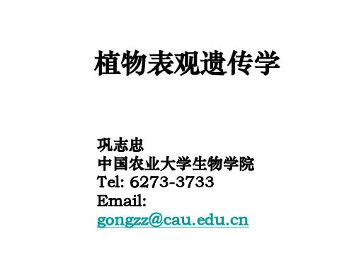 植物表观遗传学