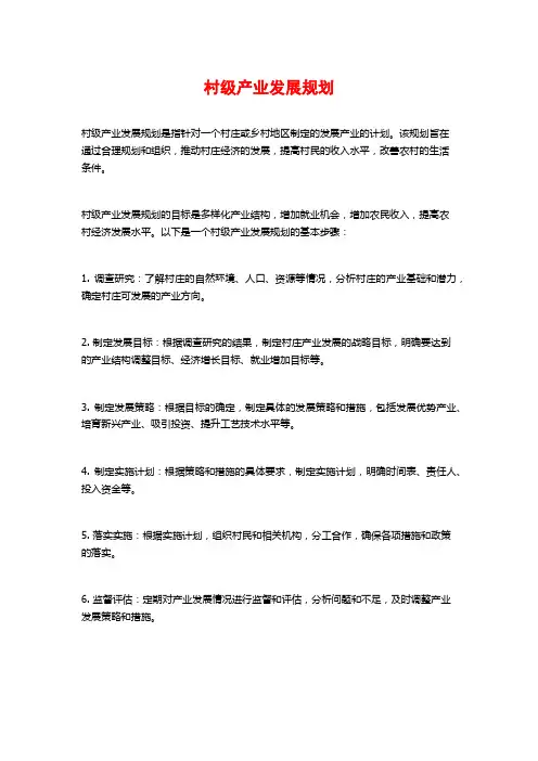 村级产业发展规划