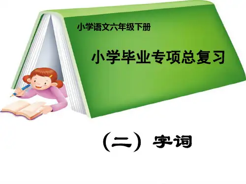 小学语文毕业总复习资料专项课件(共94张PPT)