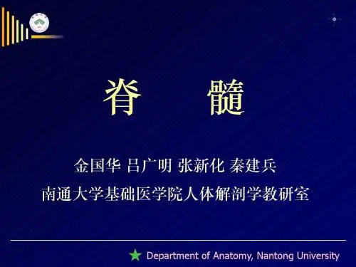 南通大学基础医学院人体解剖学教研室详解