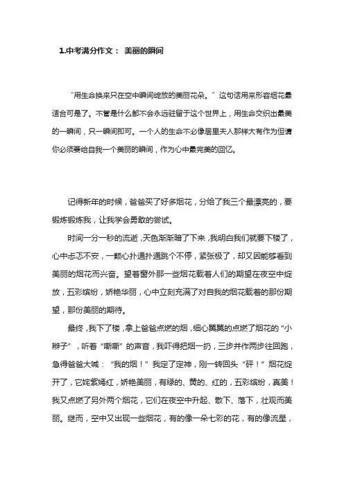 中考优秀作文欣赏《美丽的瞬间》