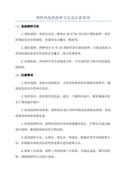 肉种鸡免疫接种方法及注意事项
