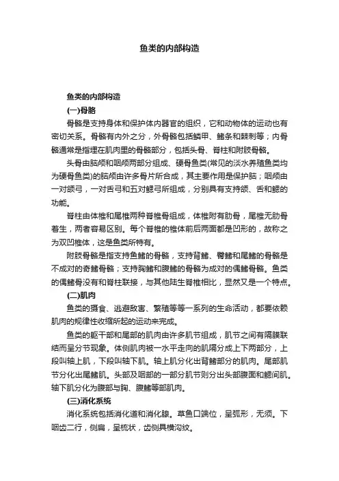 鱼类的内部构造