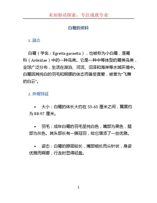 白鹭的资料